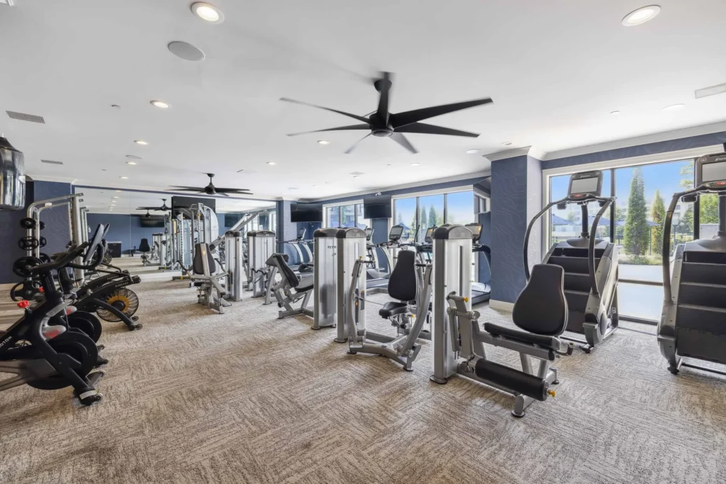 Modern gym with various exercise machines, free weights, and large windows providing natural light.