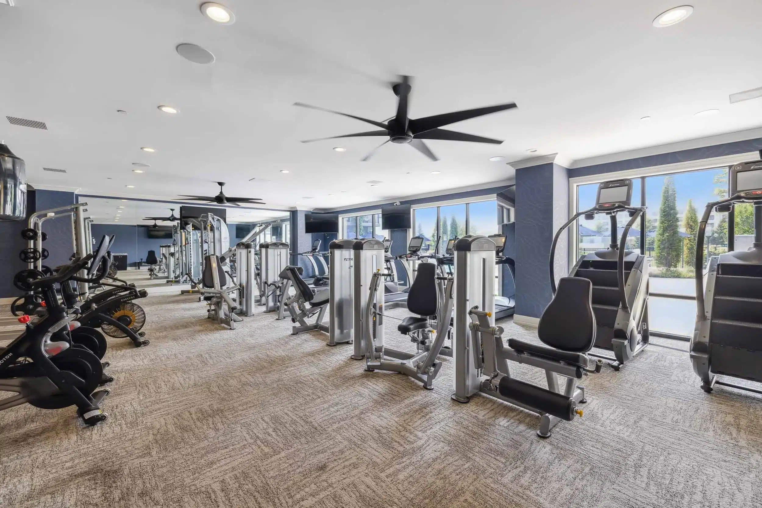 Modern gym with various exercise machines, including ellipticals, weight machines, free weights, and large ceiling fans, with natural light coming through large windows.